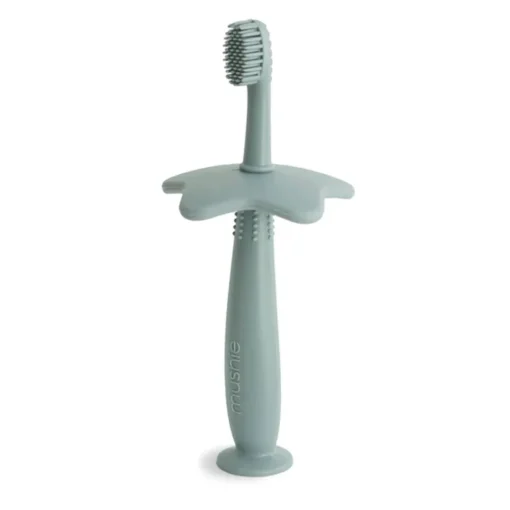 Star Training Toothbrush