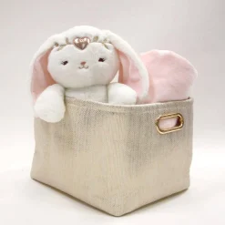 Storage Basket