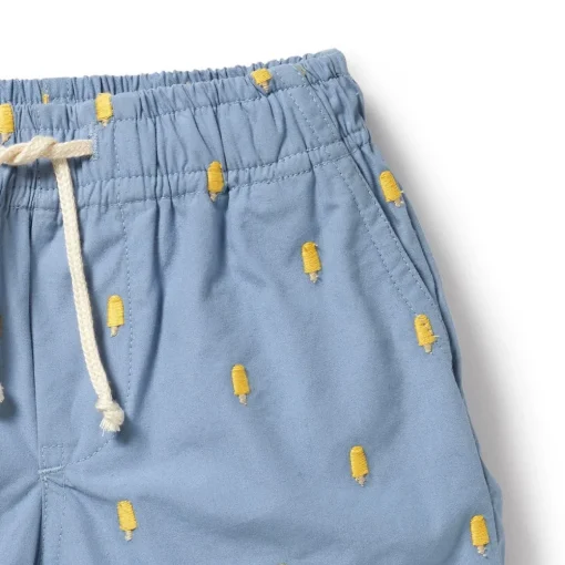 Swim Board Short