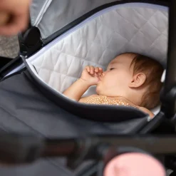 Switchback Bassinet