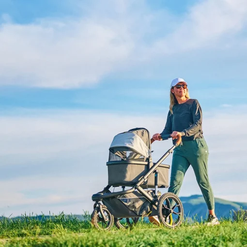Switchback Bassinet
