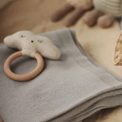 Teether Rattle