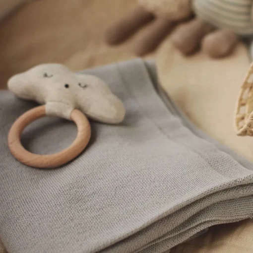 Teether Rattle