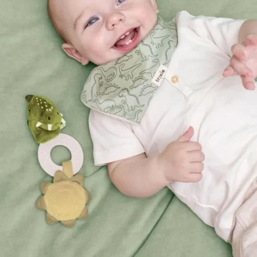 Teething Toy