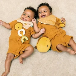 Teething Toy