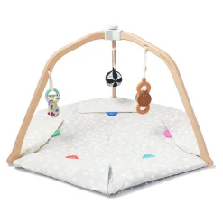The Play Gym