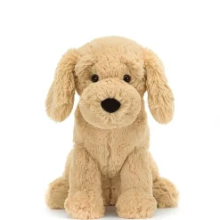 Tilly Golden Retriever