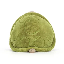 Timmy Turtle