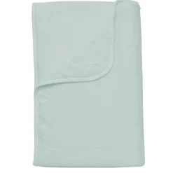 Toddler Blanket
