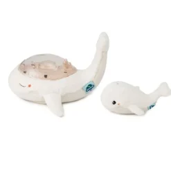 Tranquil Whale