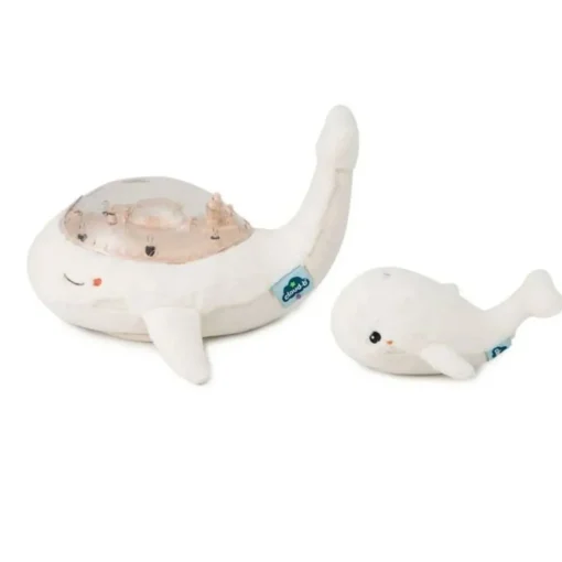 Tranquil Whale