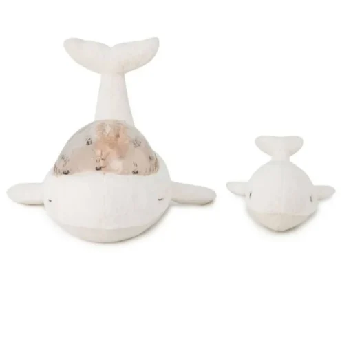 Tranquil Whale