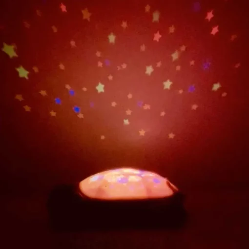 Twinkling Twilight Turtle