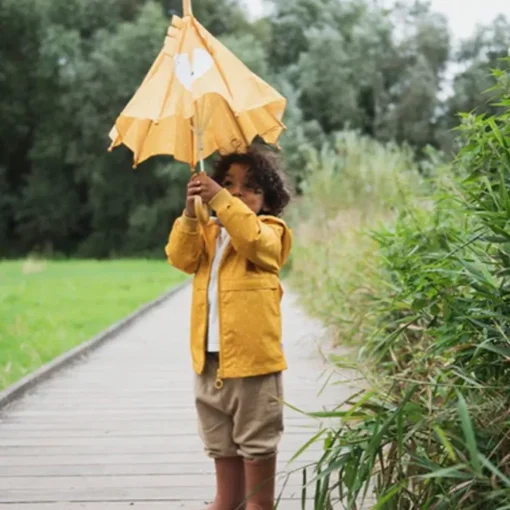 Umbrella