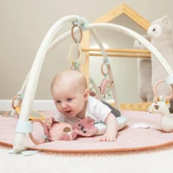 Unicorn Developmental Gymini