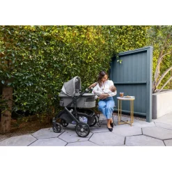 V3 Bassinet