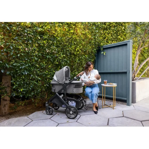 V3 Bassinet