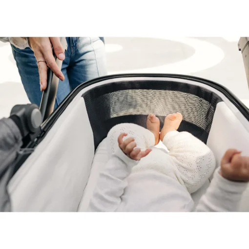 V3 Bassinet