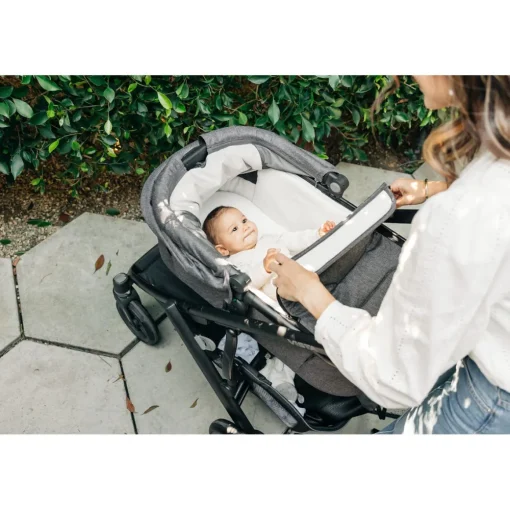 V3 Bassinet