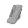 Vista/Cruz V2 Infant SnugSeat