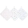 Wash Cloth (3 Pack)