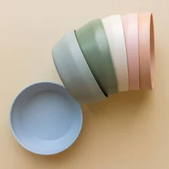 Wheat Straw Bowl