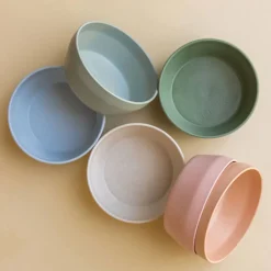 Wheat Straw Bowl