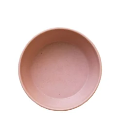 Wheat Straw Bowl