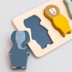 Wooden Shape Puzzle