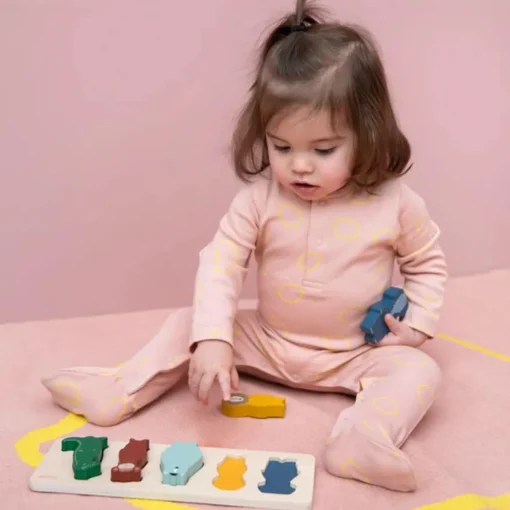 Wooden Shape Puzzle