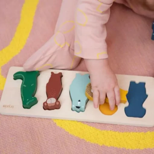 Wooden Shape Puzzle